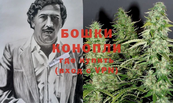стафф Нефтекумск