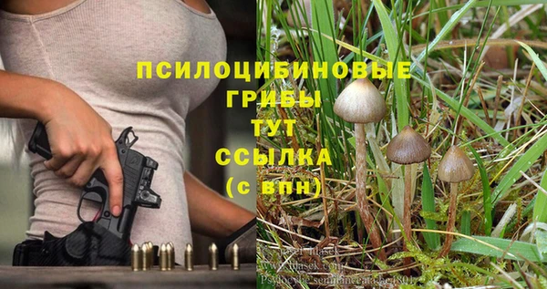 стафф Нефтекумск