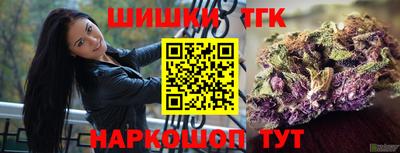 МДПВ Гагарин