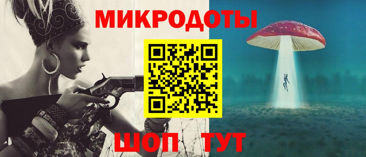 Галлюциногенные грибы Psilocybe  Полевской  Псилоцибиновые грибы MAGIC MUSHROOMS 