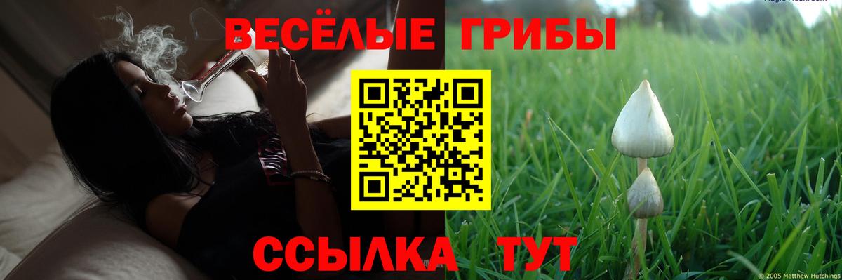 Галлюциногенные грибы GOLDEN TEACHER Полевской